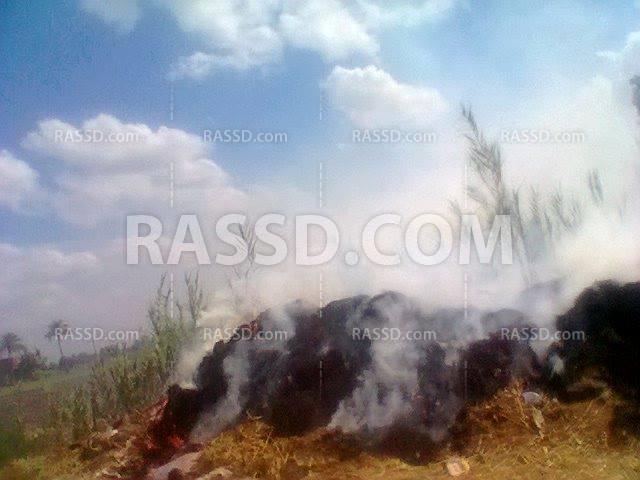 السحابة السوداء تغطي قرى الدقهلية