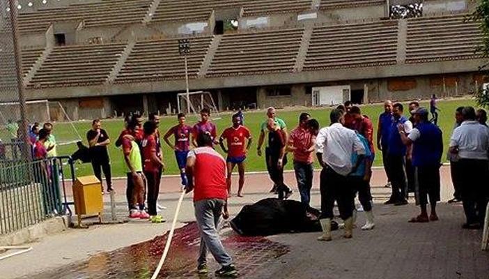 صورة.. لاعبو الأهلي يذبحون عجلًا من أجل الوصول للنهائي