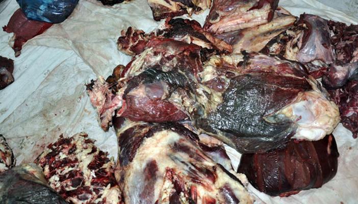 إعدام 200 كيلو لحوم غير صالحة  بالمنصورة وشربين