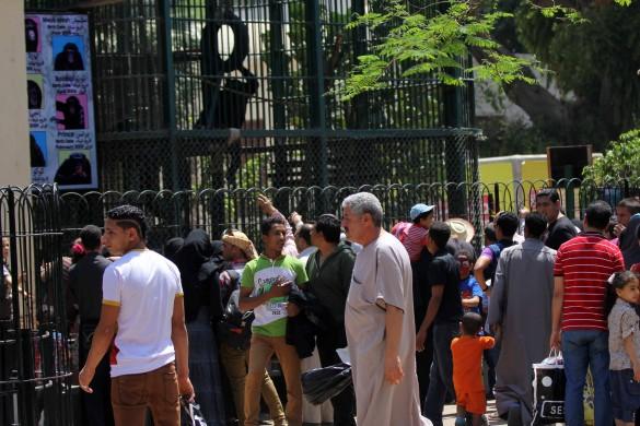 حديقتا الحيوان والأورمان تستقبلان مليون زائر بالعيد