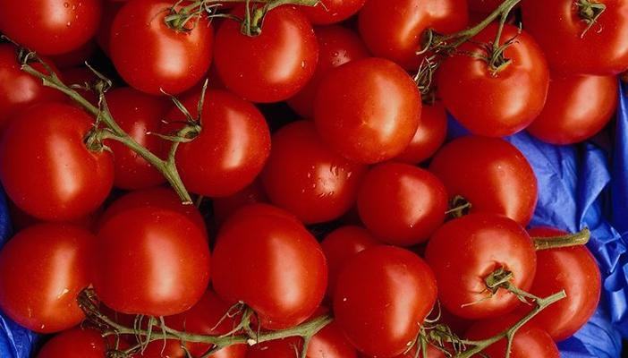 الطماطم تواصل جنونها وتصل لـ13 جنيهًا.. وأسعار مواد البناء تستقر