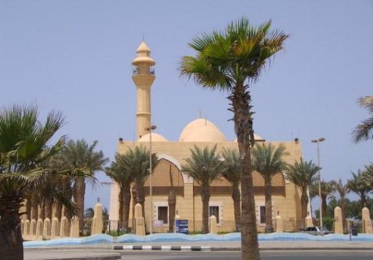 بالفيديو..إذاعة أغنية “تسلم الأيادي” بمساجد البحيرة