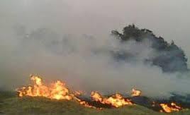 خبراء: السحابة السوداء تكشف استهانة الحكومة بحياة المواطنين