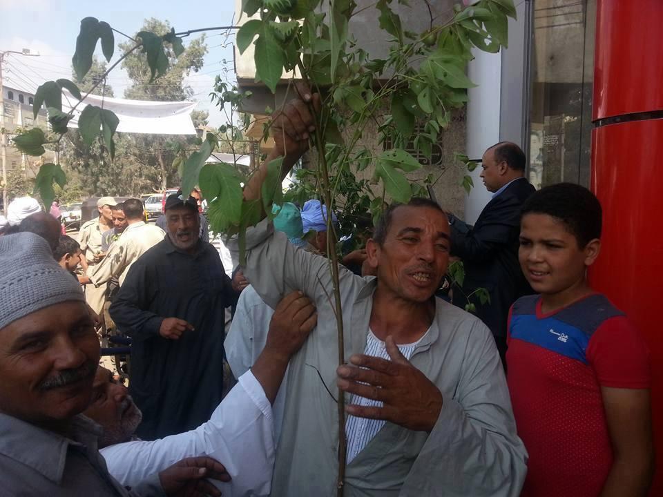 مزارعو دمياط:  قطن 78 خرب بيوتنا