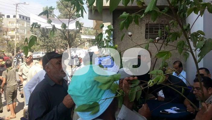 مزارعون بدمياط لـ”رصد”: القطن خرب بيوتنا السنة دي وبذور الحكومة السبب