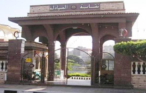 بالمستندات.. “الصيادلة”: 570 مليون جنيه حصيلة “جهاز الدمغة” خلال 2016