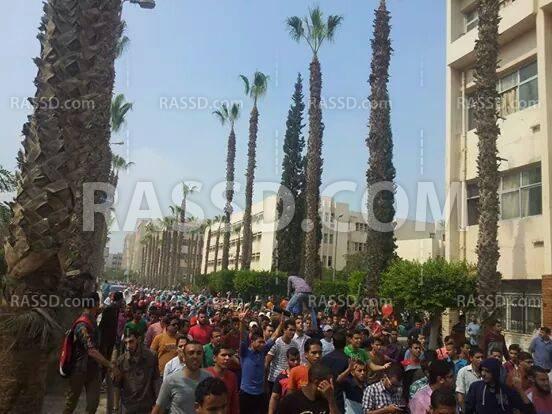 تظاهرات حاشدة بجامعة الزقازيق تتحدى “فالكون”