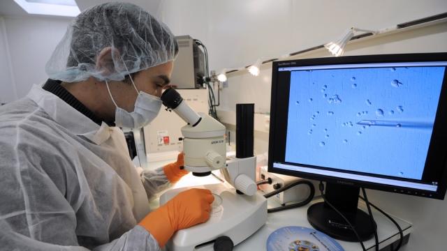 خلايا جذعية تعالج العمى الجزئي