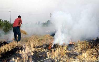 المصانع وحرق القمامة والمخالفات الزراعية سبب السحابة السوداء