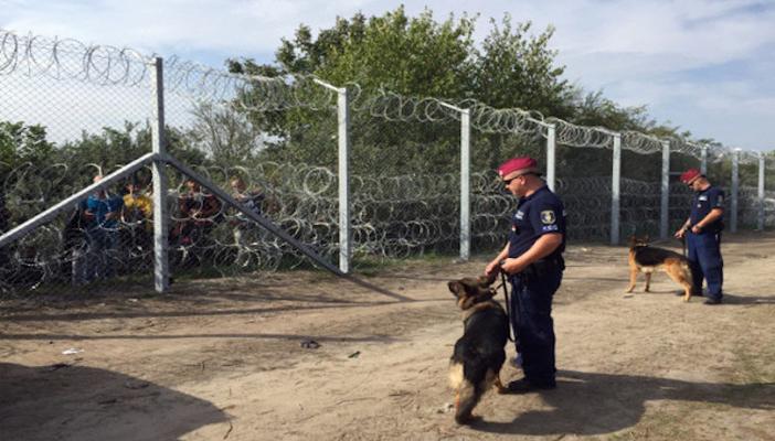 سلوفينيا تنشر قوات إضافية على الحدود لمواجهة المهاجرين