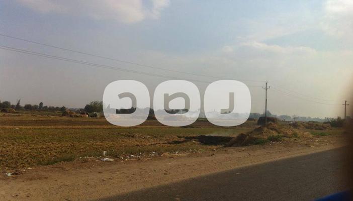 ارتفاع تكلفة حصاد الأرز ونقص المياه تكبد الفلاحين خسائر كبيرة بالشرقية