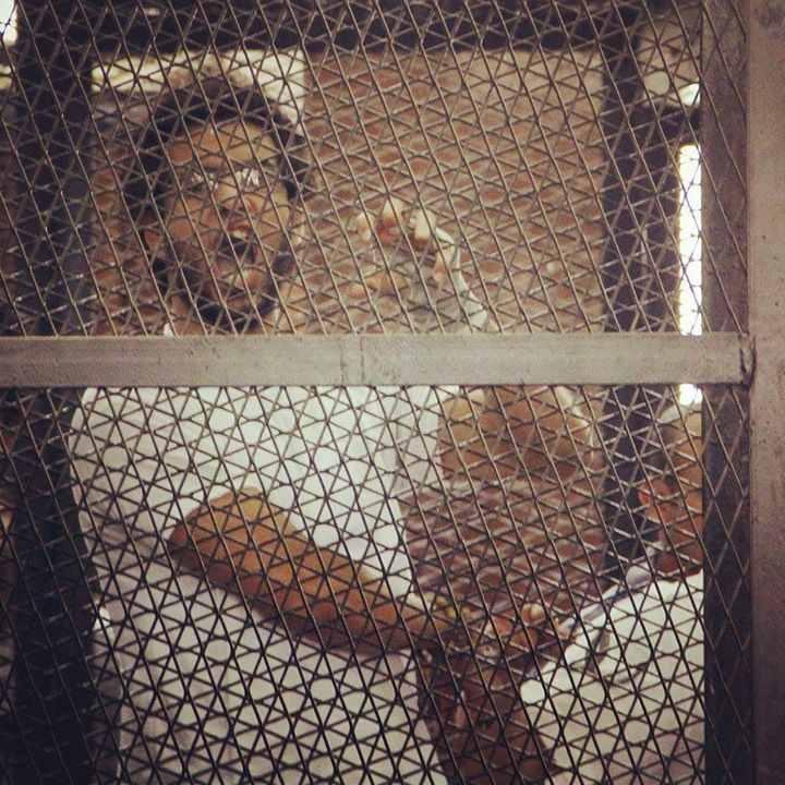 صهيب سعد يكتب من داخل المعتقل: على درب فاطمة