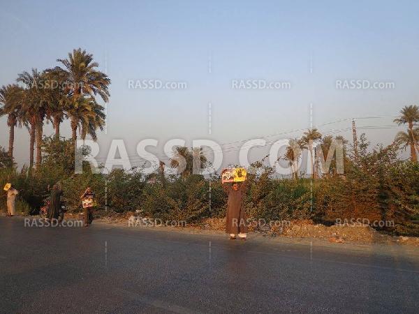 الاعتداء على تظاهرة بني سويف بالرصاص والخرطوش