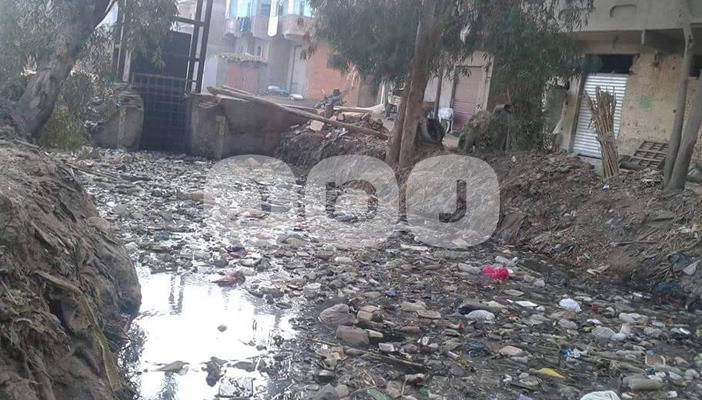 إهمال المسؤولين يهدد المحاصيل الزراعية بمحافظة الغربية