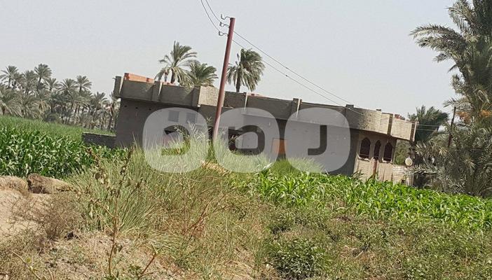 انتشار حمى البناء على الأراضي الزراعية بالفيوم