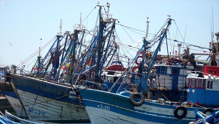 توقف حركة الملاحة البحرية بسواحل كفر الشيخ جراء سوء الأحوال الجوية