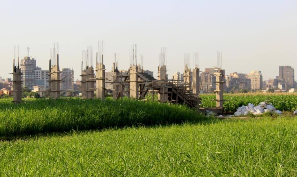 طرح 500 ألف فدان للشباب وصغار المزارعين.. تعرَّف على الشروط