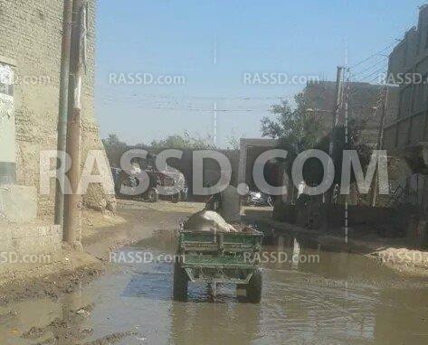 مصرع فلاح وحماره صعقًا بالكهرباء إثر تراكم مياه الصرف في دلجا