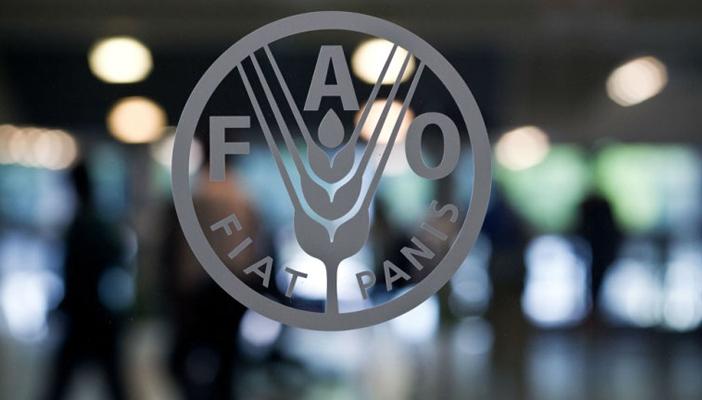 “الفاو” تطلق مبادرة “ندرة المياه” لدراسة مشكلة مصر و5 دول عربية