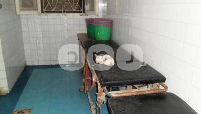 بالصور.. قطط تسيطر على مستشفى المنزلة العام وتختفي عند زيارة المسؤولين