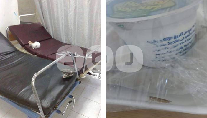 بالصور.. وجبات بالصراصير لمرضى المستشفى العام بالإسماعيلية