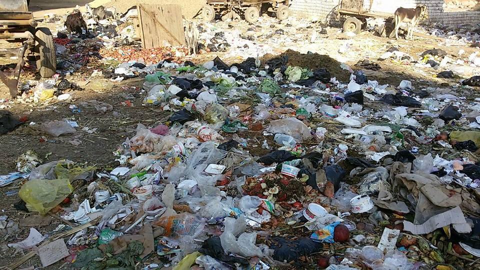 بالصور.. أكوام القمامة تطارد المواطنين بالمحافظات وتصيبهم بالأمراض