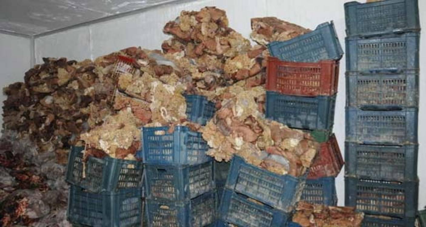 ضبط 4 أطنان أمعاء حيوانية فاسدة قبل استخدامها في صناعات اللحوم