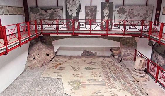 الفئران تغزو متحف القصر الكبير بتركيا