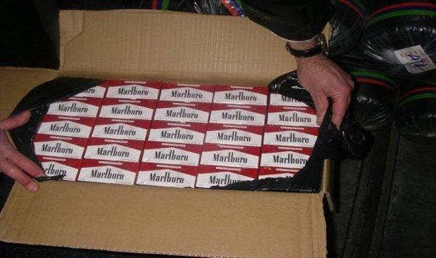 ضبط 500 علبة سجائر مسرطنة ببورسعيد