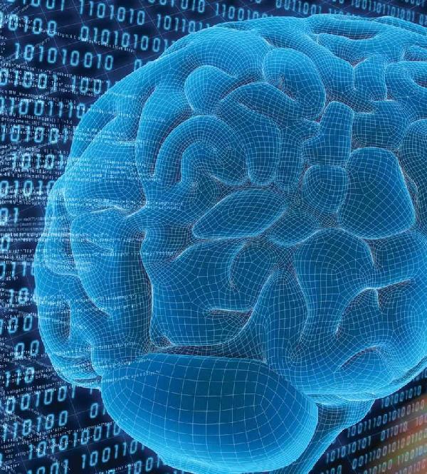 قصار القامة أكثر عرضة للإصابة بـ”الزهايمر”