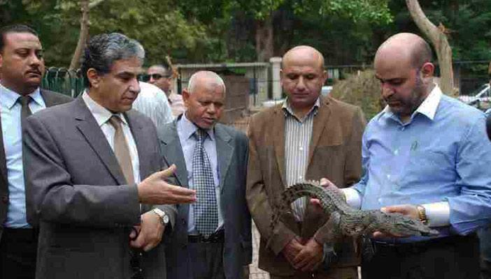 السيطرة على تمساح أثار الذعر بمصرف ناهيا وتسليمه إلى حديقة الحيوان