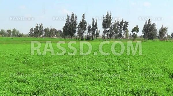 صور| معاناة فلاحي الغربية وسط تجاهل من المسئوليين