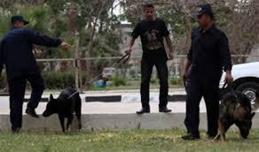 الاشتباه في جسم غريب بجوار سور جامعة عين شمس