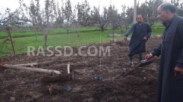 تهالك الأسلاك يدمر أسرة مزارع في المنوفية