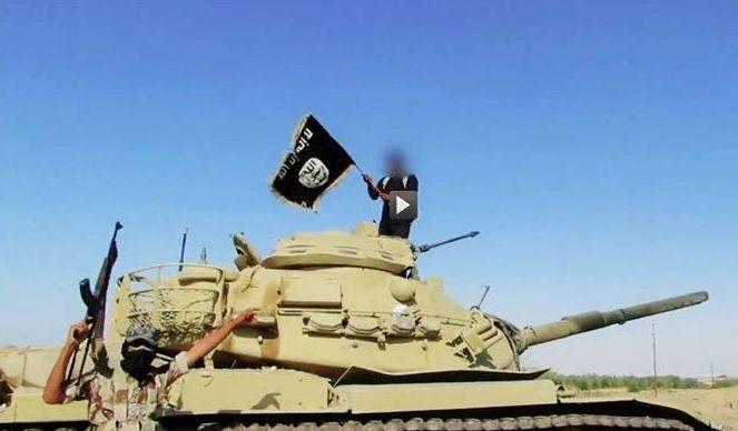 الحاج: فيديو “صولة الأنصار” “صادم” ويؤثر على سمعة الجيش المصري