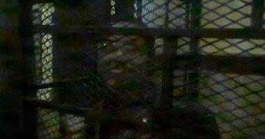 اليوم.. استئناف محاكمة الناشطة ماهينور المصري و6 آخرين