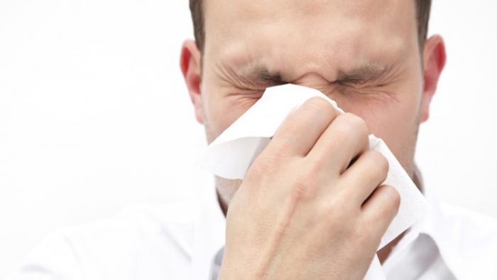 الاشتباه في إصابتين بأنفلونزا الطيور والخنازير ببني سويف