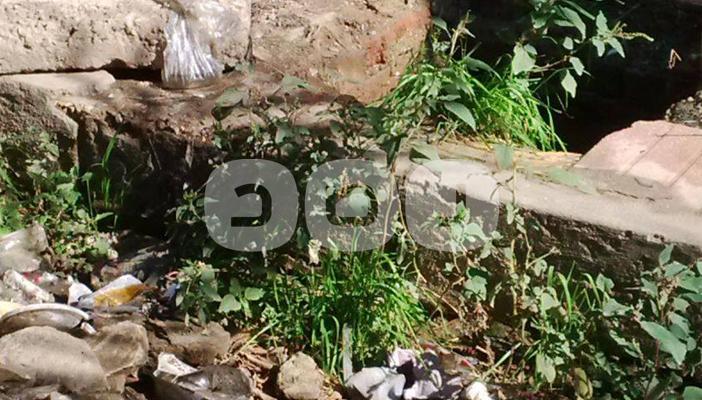 الغربية: الإهمال ينتشر في المستشفى العام بمركزي بسيون وقطور