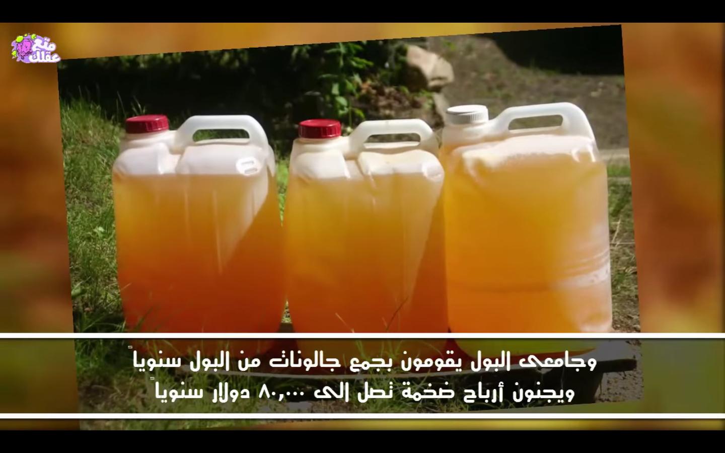 بالفيديو.. وظائف قذرة بمرتبات ضخمة.. هل تقبل العمل بها؟