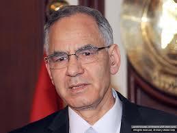 بشر: مستعدون لاستفتاء علي خارطة طريق الرئيس “مرسي”