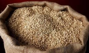 الإسكندرية: الشؤون الصحية تضبط 10 أطنان من القمح الفاسد