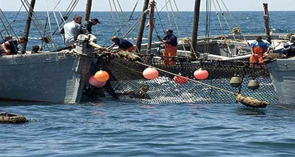 في دمياط.. صيادون لا يبحرون.. وتجار لا يبيعون