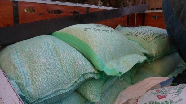 مطروح أول محافظة تصنع الخبز المدعم بالمنازل