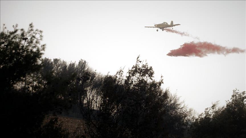 حرائق إسرائيل تشتعل على الفيس بوك.. والحاخامات: غضبٌ من الرب