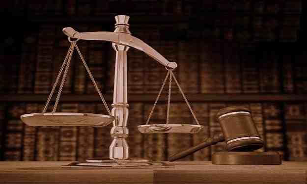 إحالة مدير عام التشجير والبيئة بوزارة الزراعة للمحاكمة