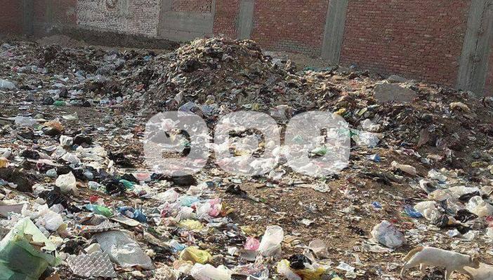 بالصور.. الشرقية: القمامة تتراكم في المناطق السكنية بالإبراهيمية