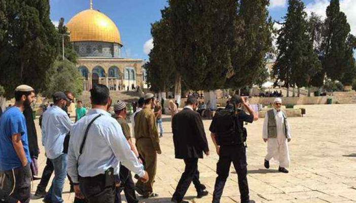 49 مستوطنًا “إسرائيليًا” يقتحمون المسجد الأقصى صباح اليوم