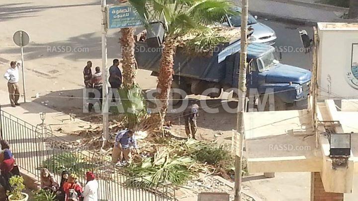 الداخلية تقص النخيل بصيدلية اسكندرية ليسهل ضرب الطلاب