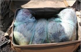 العثور على حقيبة بها أشلاء جثمان في الهرم