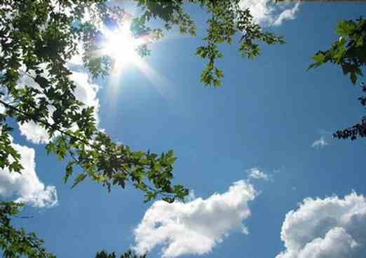 “الأرصاد: غدًا درجات الحرارة تميل للارتفاع